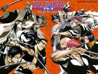 Soul Reapers Battle